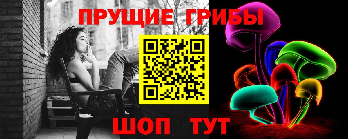 Псилоцибиновые грибы Cubensis  Вход с VPN  Красный Сулин 