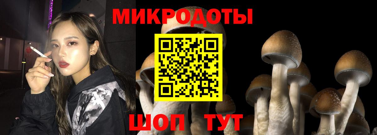 Галлюциногенные грибы Psilocybe Красный Сулин